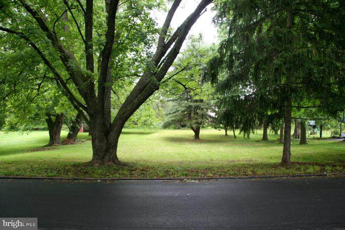 0 Spring Lane - Photo 1