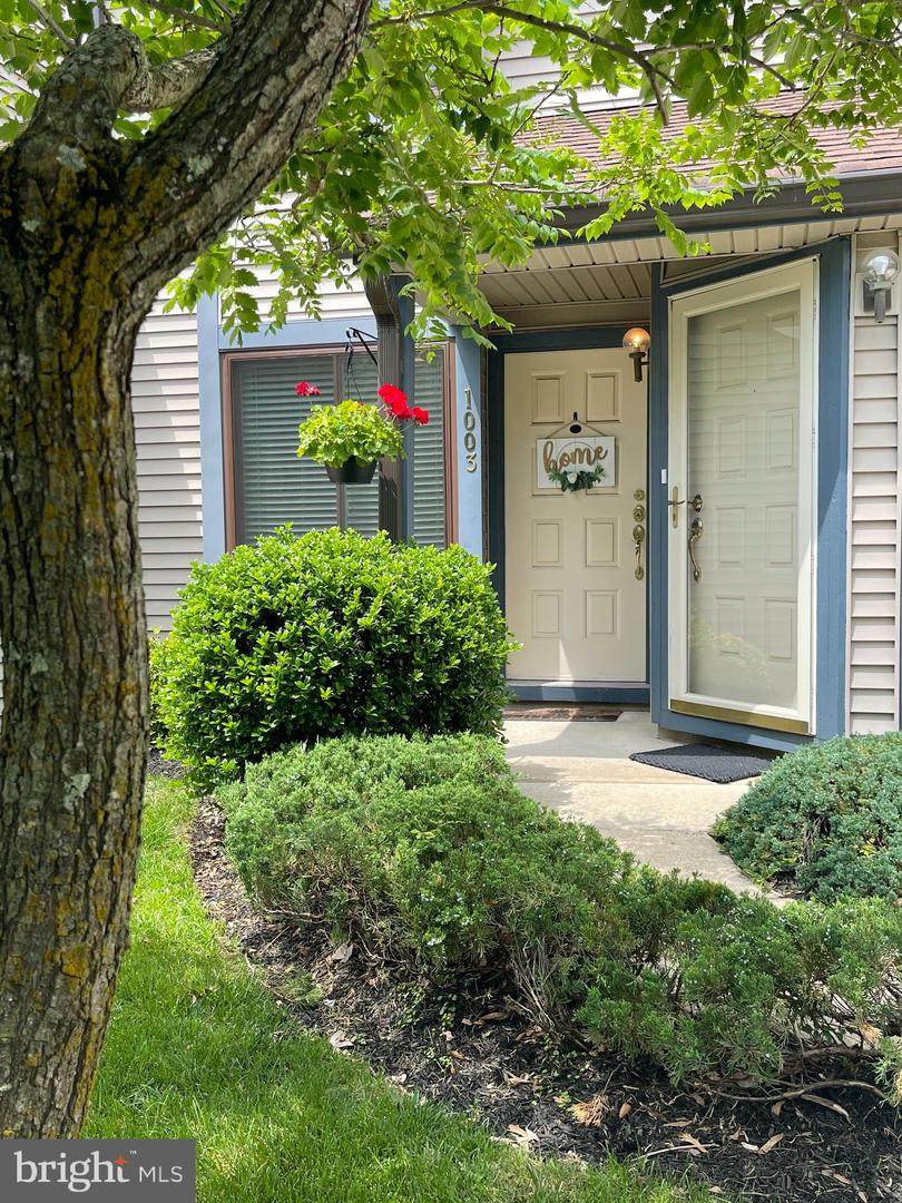 1003 Chesterwood Court - Photo 1