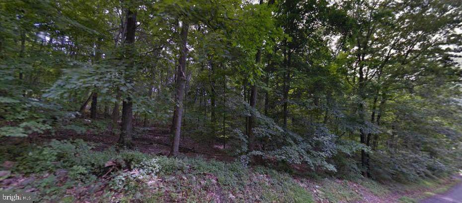 6 Fernwood Trail - Photo 1