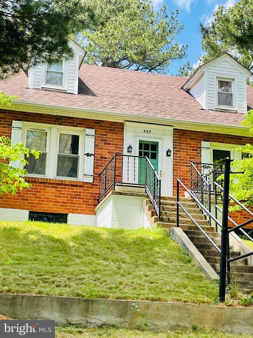 337 Mineral Street - Photo 1