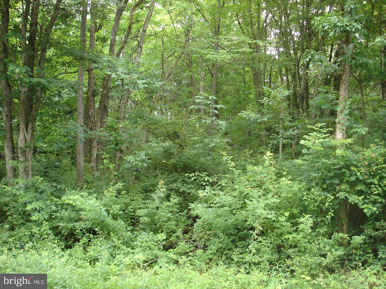 Schoolhouse Road - Photo 1