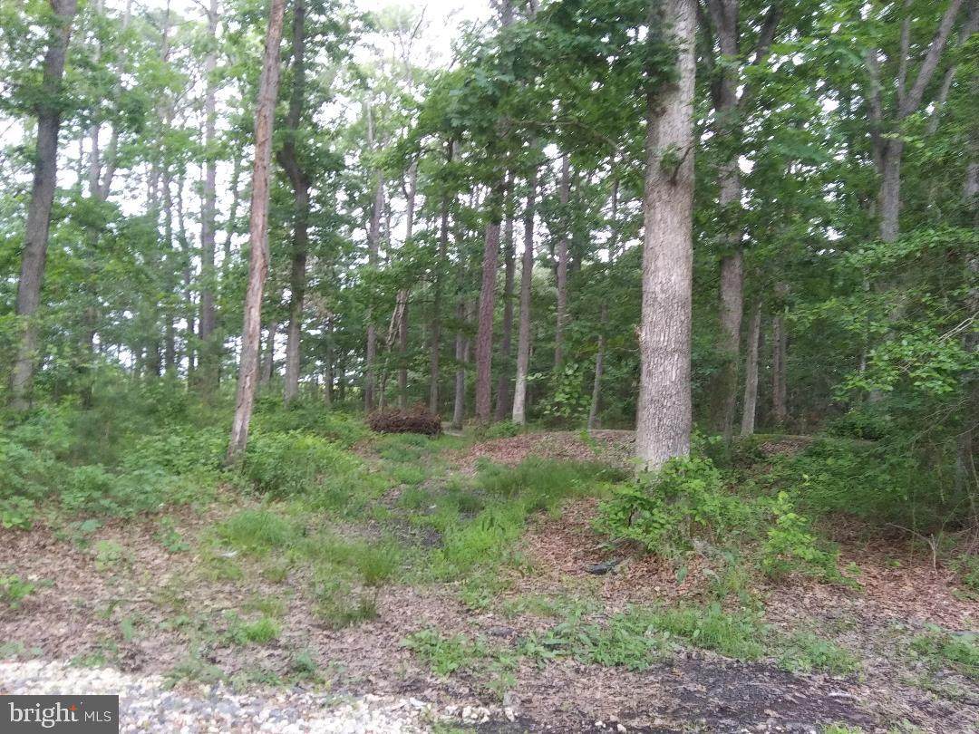 Covey - Lots 113,114,115 - Photo 1