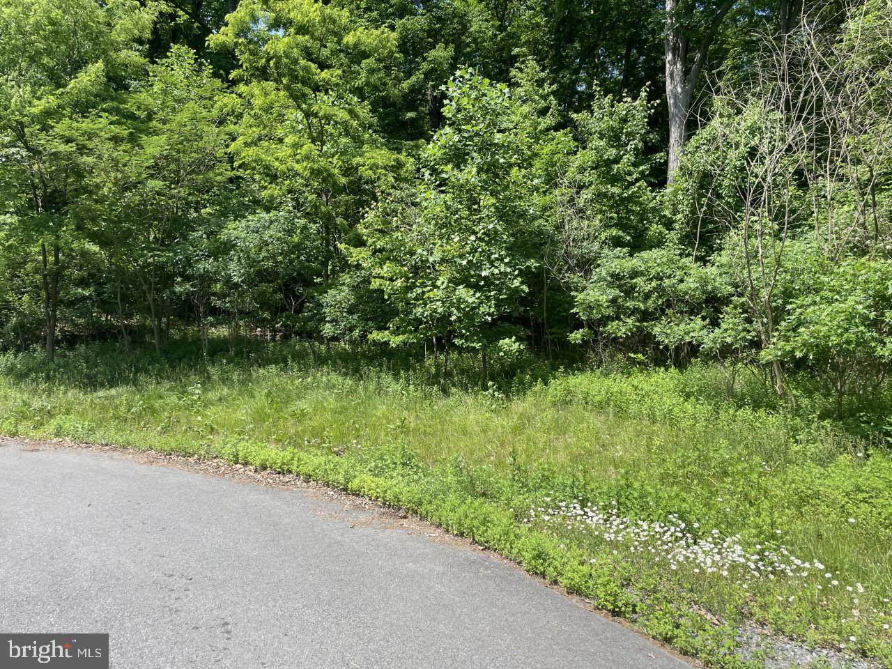 NW LOT # 3 of Laurel Street - Photo 1