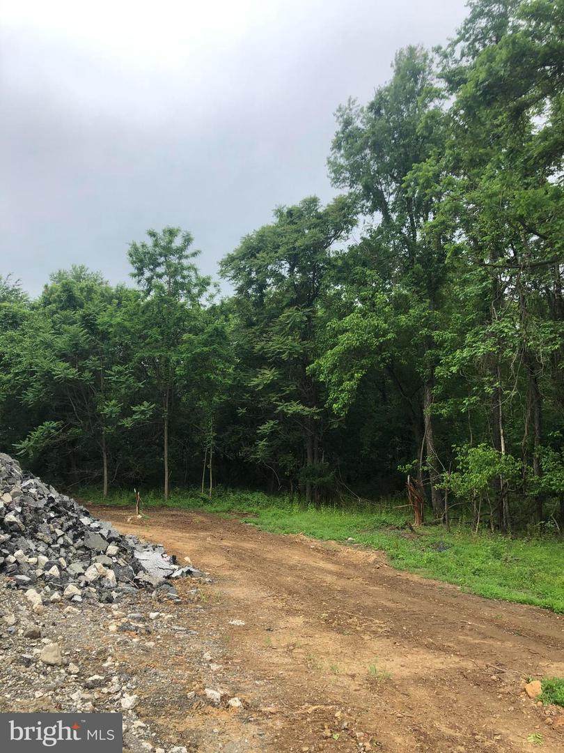 Lot 4 Cobalt Lane - Photo 1
