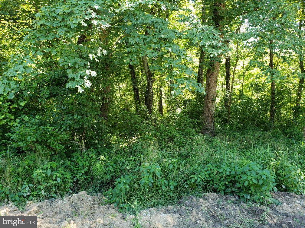 PARCEL 91 Cool Spring - Photo 1