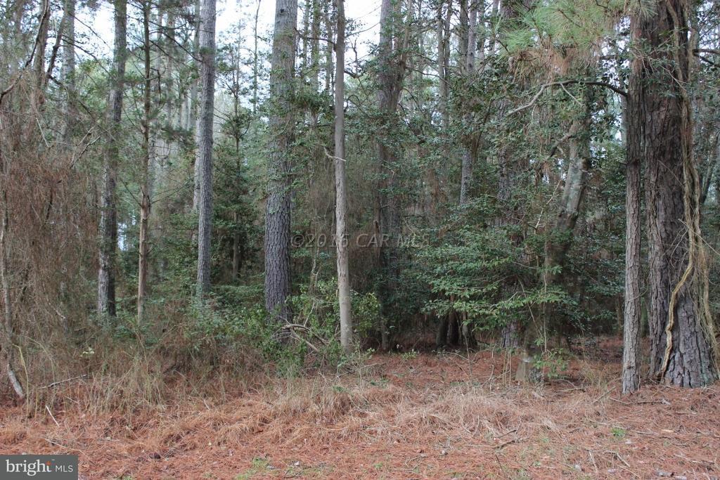 868 Broadside Drive - Photo 1