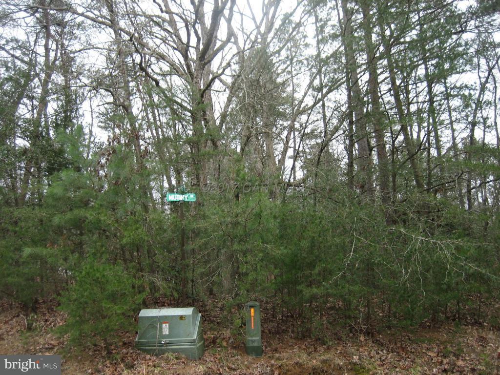 1800 Mutiny Drive - Photo 1
