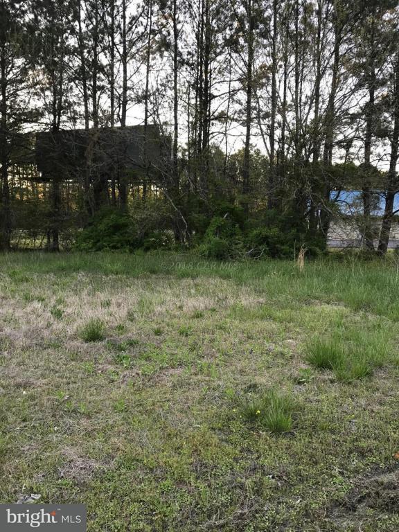 5.43 Ac Somerset Avenue - Photo 1