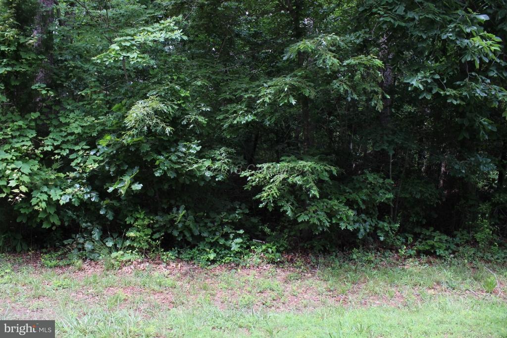 2313 Seahorse Road - Photo 1