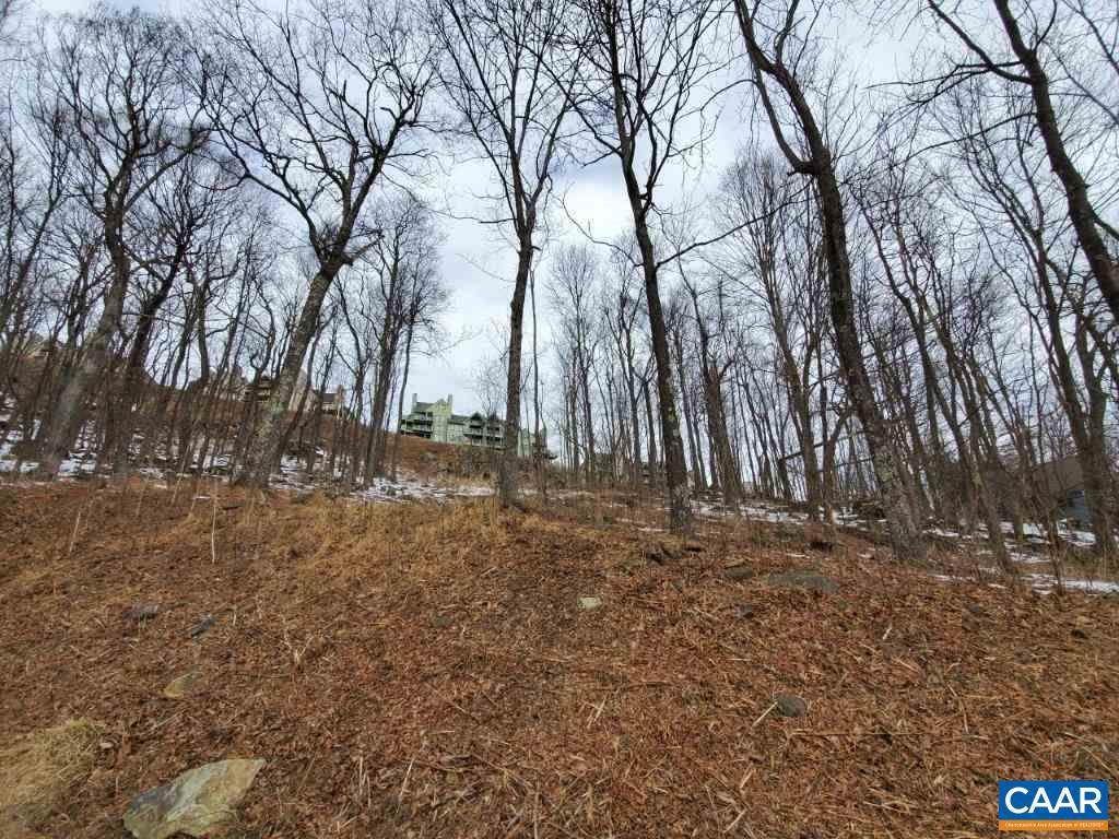 304 Chestnut Place - Photo 1