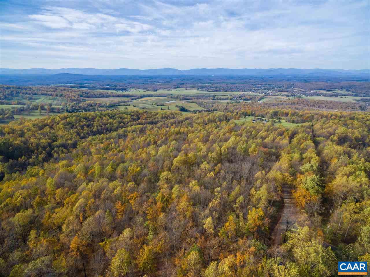 Lot 01800 Sam Mundy Rd Road - Photo 1