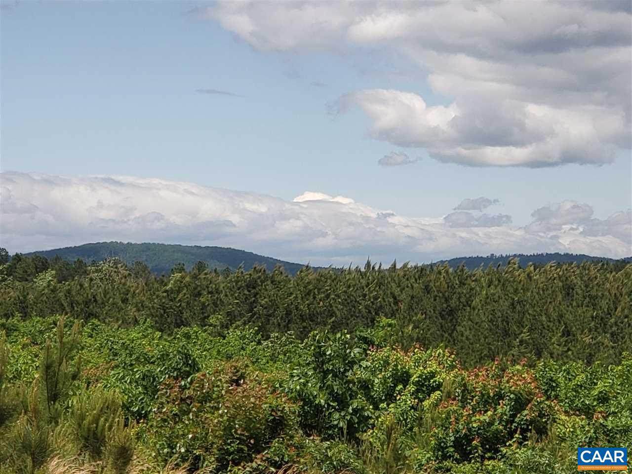 3500 Martin Kings Rd Road - Photo 1