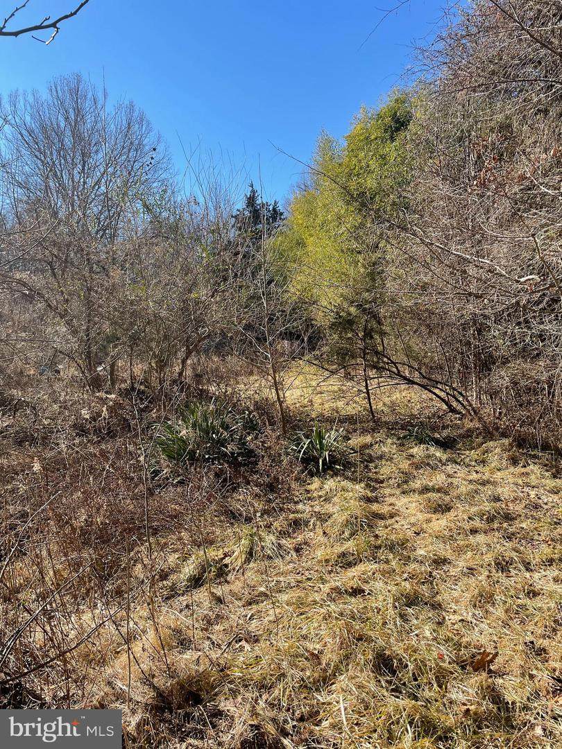 391 Joshua Road - Photo 1