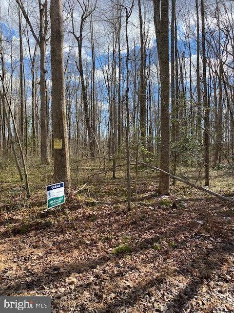 0 Backwoods Trail - Photo 1