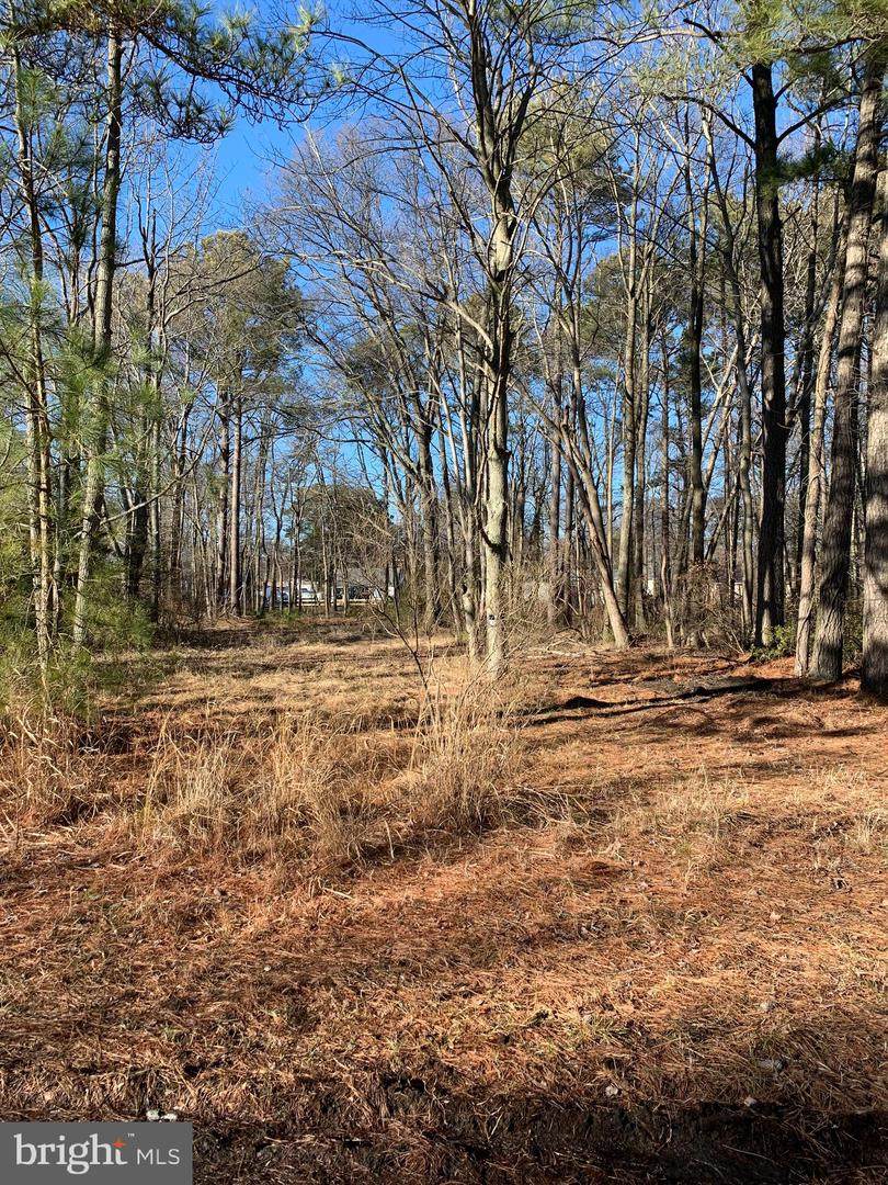 20770 Bayside Avenue - Photo 1