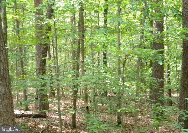 LOT 646 Dogwood Dr - Photo 1