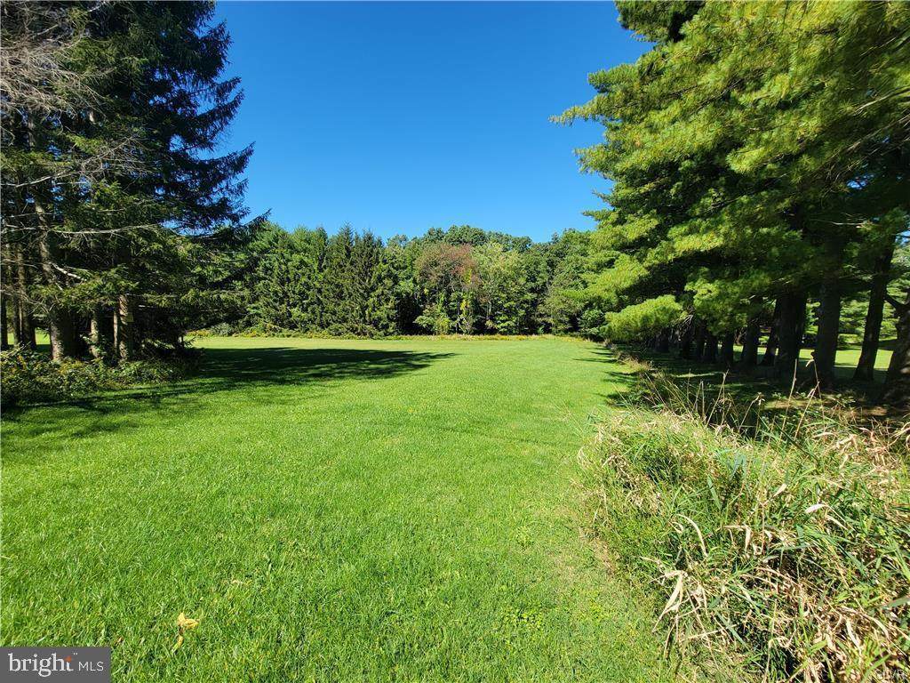 1340 Forest Street #+/- 50 Acres - Photo 1