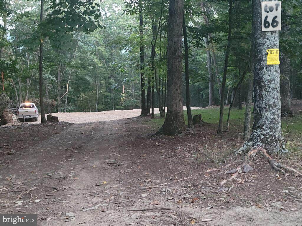 Lot 66 Bears Lope Lane - Photo 1