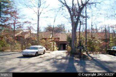 44693 White Oak Court - Photo 1
