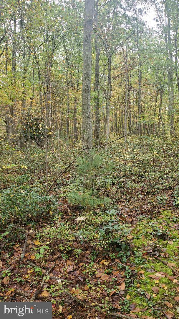 00 Teaberry Road - Photo 1