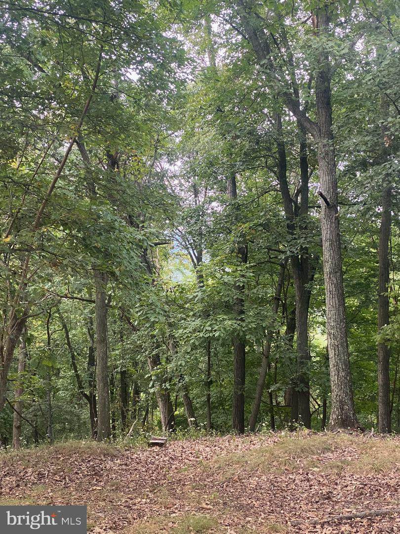 0 Lonesome Pine Lane - Photo 1