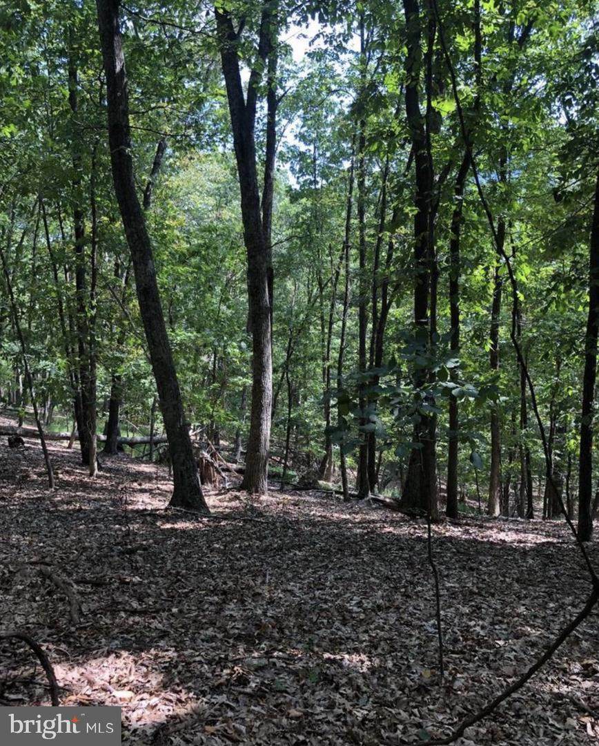 Lot #20 Otter Creek Dr - Photo 1