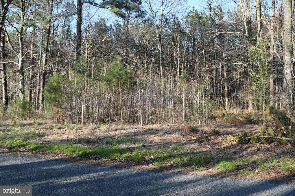 Mccormick Swamp Rd - Photo 1