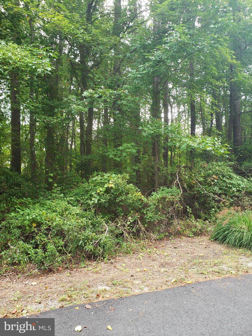 Argyle Lane - Photo 1