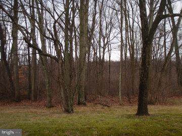 19 Deer Trail - Photo 1