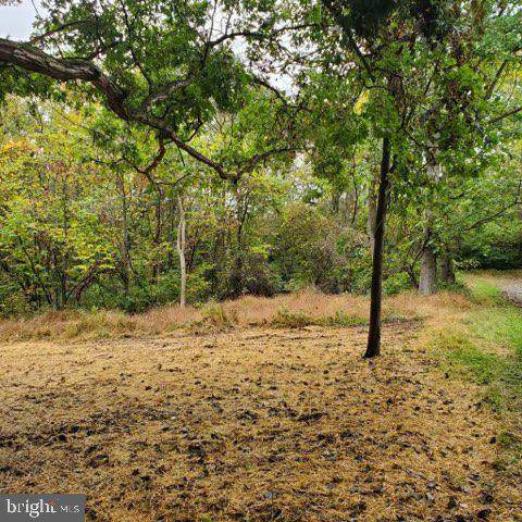 1 Summer Trail - Photo 1