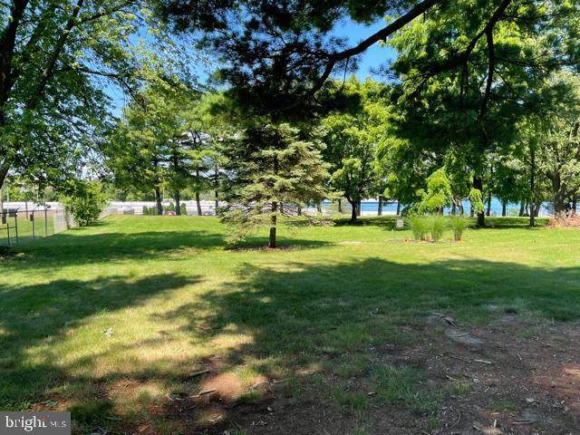 10726 Bower Avenue - Photo 1