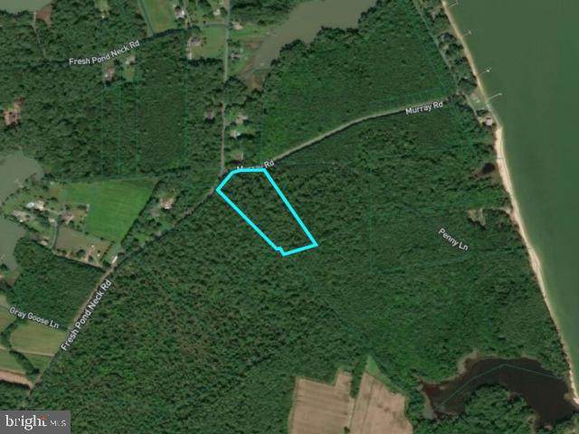 Lot 1 Fresh Pond Neck Road - Photo 1