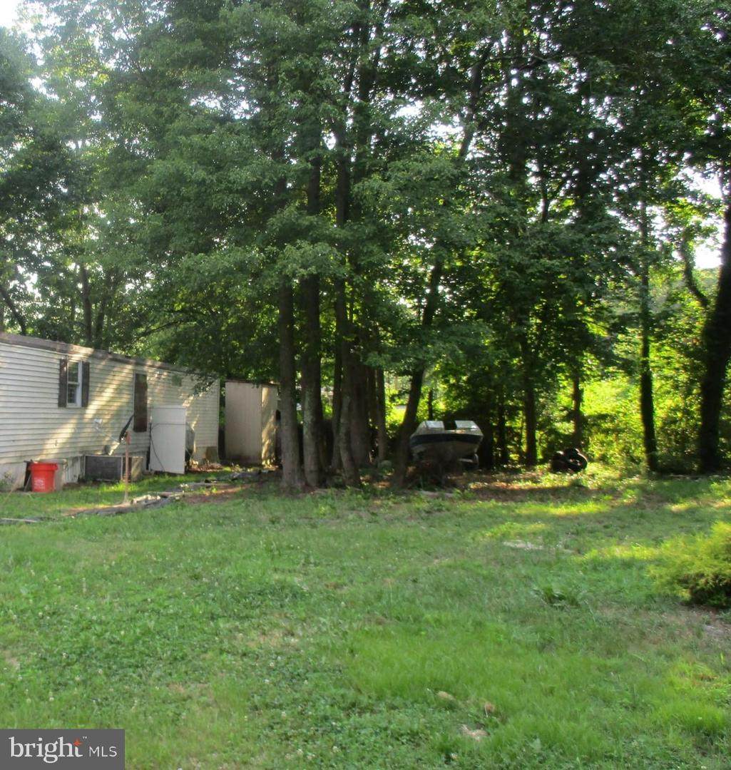 329 Dandelion Road - Photo 1