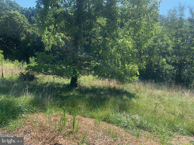 0 Don Mccauley Rd - Photo 1