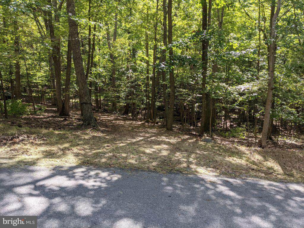 Ebenezer Road - Photo 1