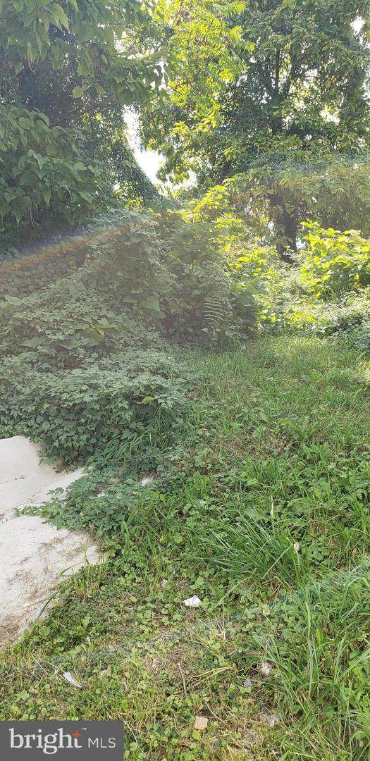 5907 Seat Pleasant Drive - Photo 1