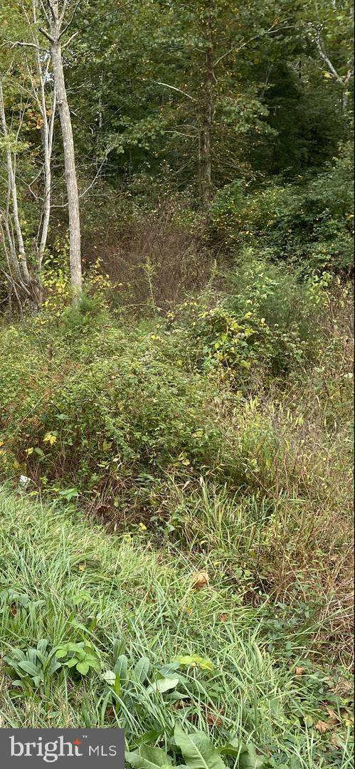 Three Notch Road - Photo 1