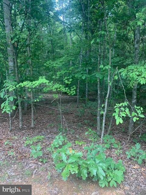 58 Shenandoah Crossing Drive - Photo 1
