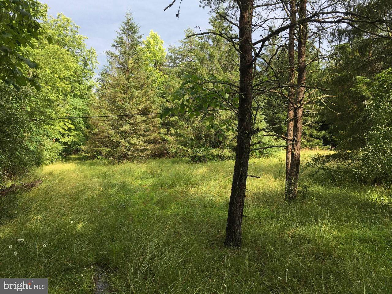 12900 Appel Road - Photo 1