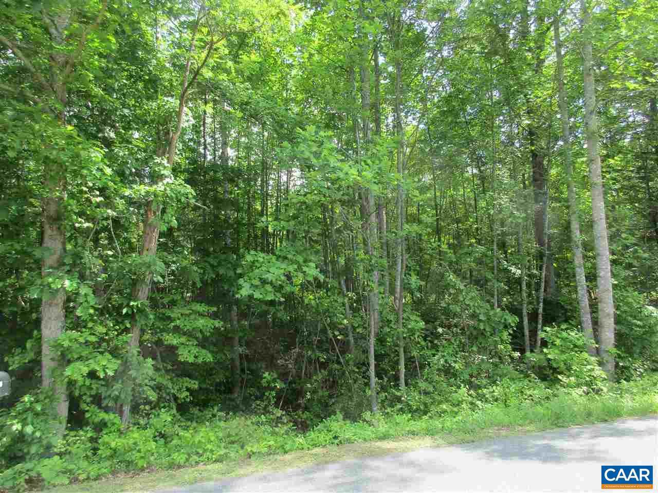 TBD Simmons Gap Road - Photo 1