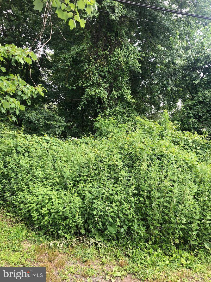 L: 575 Rosa Avenue - Photo 1