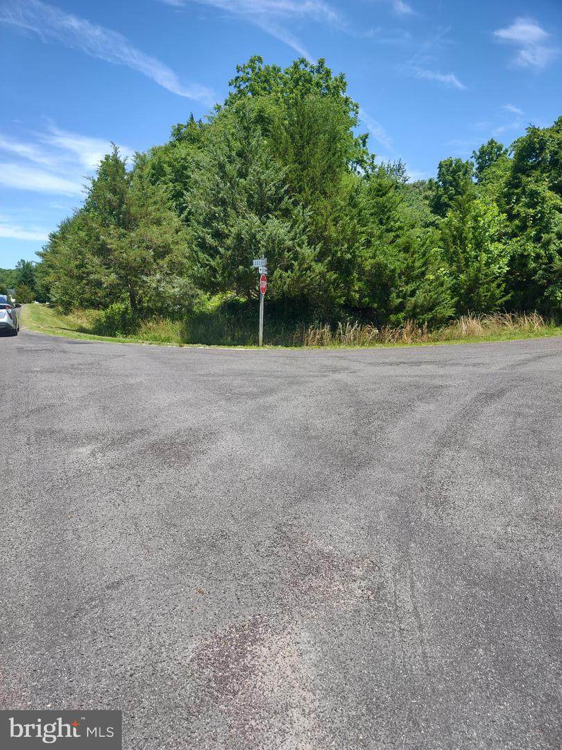 5601 Dogwood Tree Lane - Photo 1