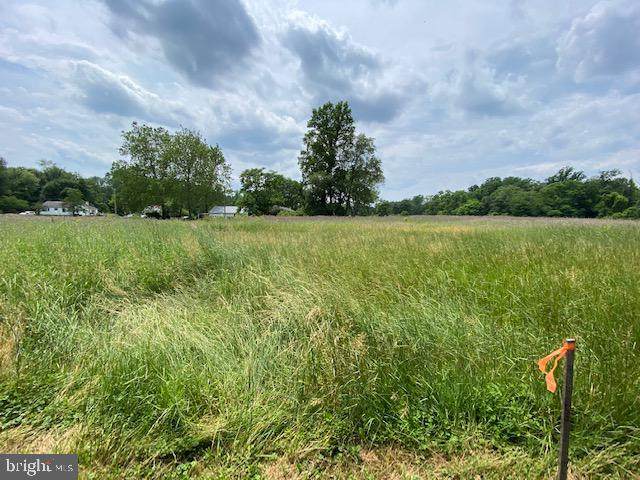 Lot 1 Spring Avenue - Photo 1