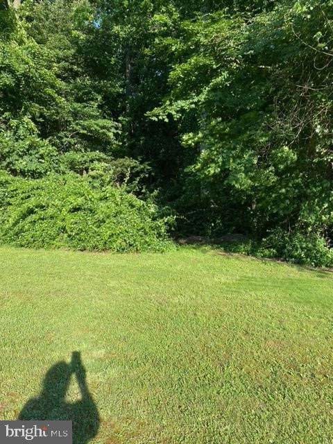 0 Prinsen Avenue - Photo 1