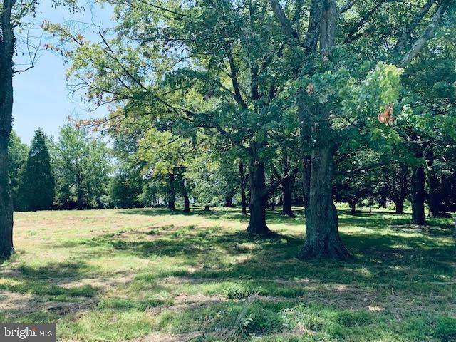1730 Old Baltimore Pike - Photo 1