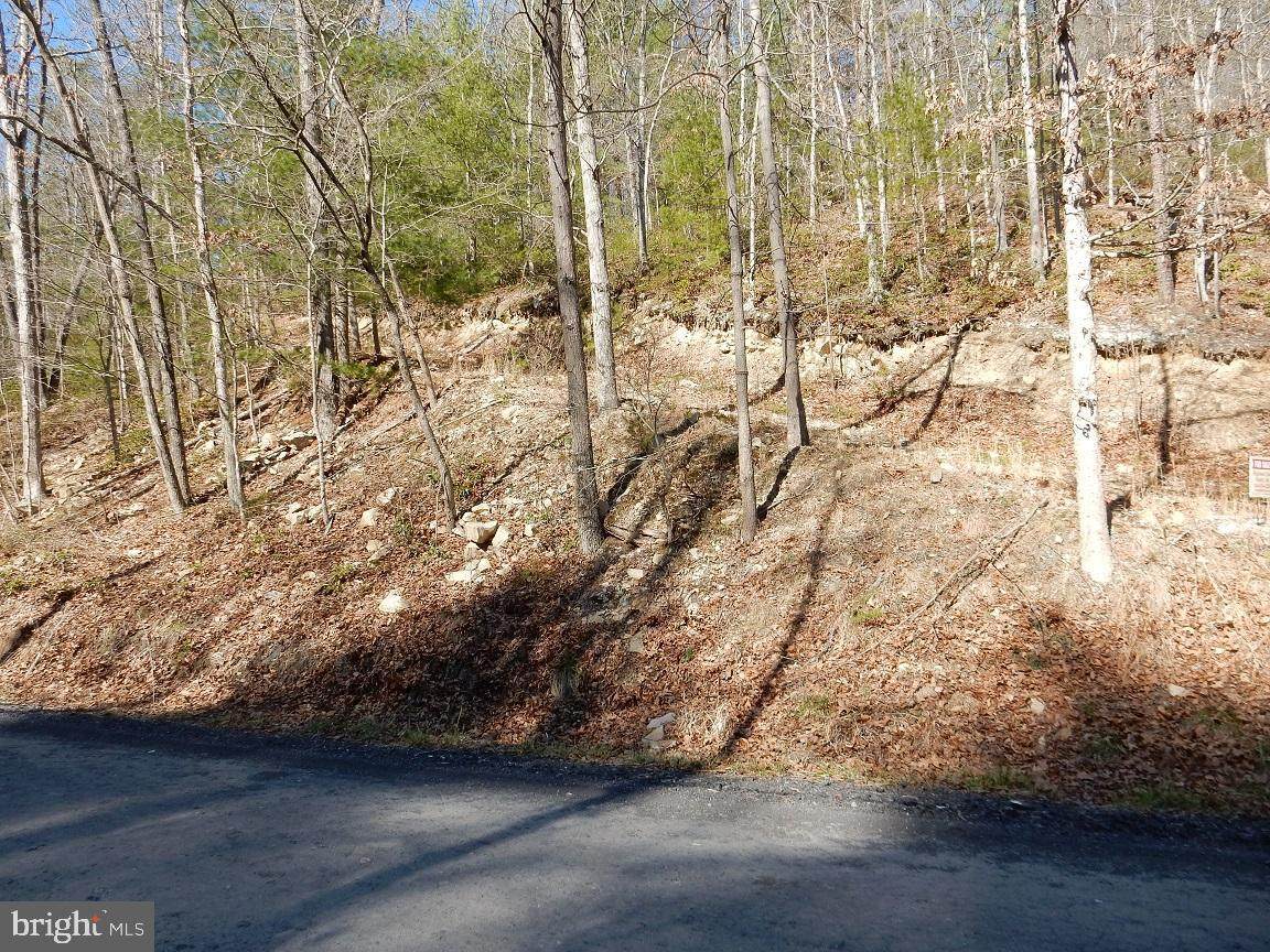 Lot 6 - B Sauerkraut Road - Photo 1
