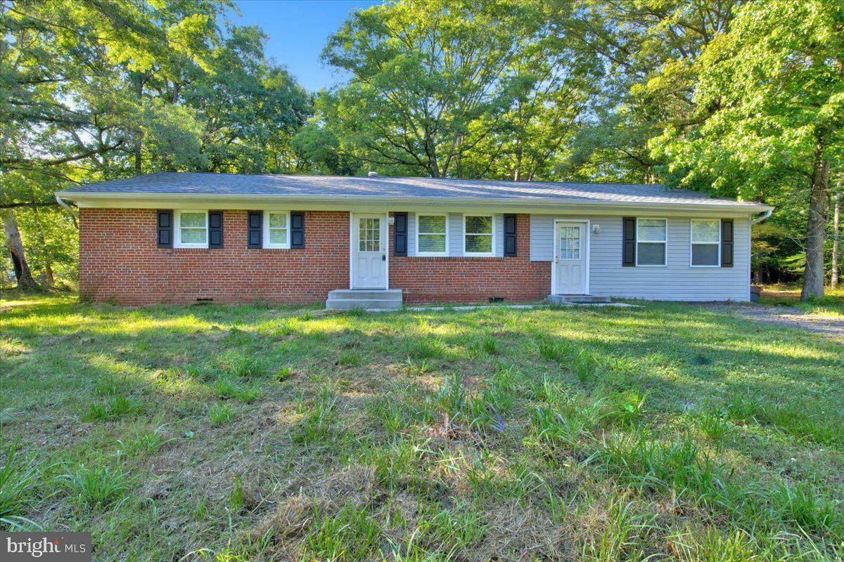 7810 Sylvia Ann Place - Photo 1