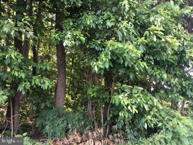 Rhoads Road - Photo 1