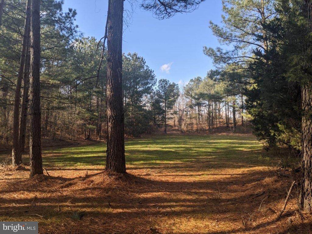 420 Slab Bridge Road - Photo 1