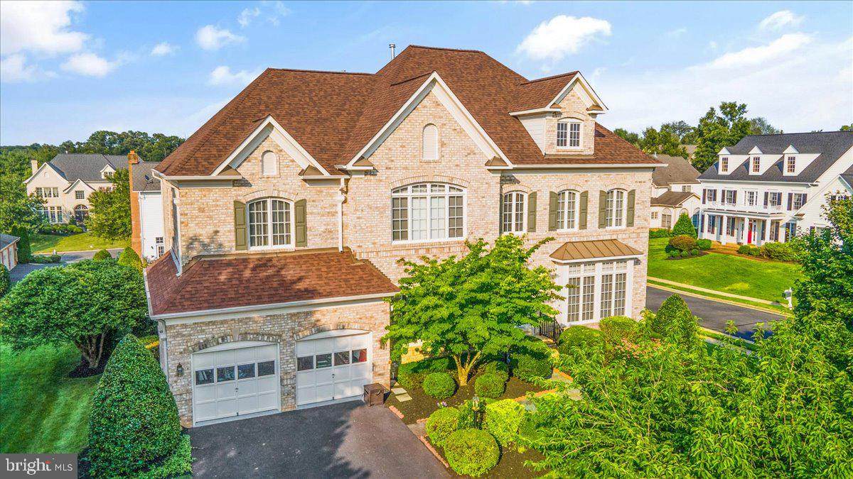 8233 Roxborough Loop - Photo 1